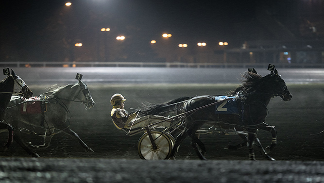 Harness racing at Flamboro Downs featuring driver and horse racing