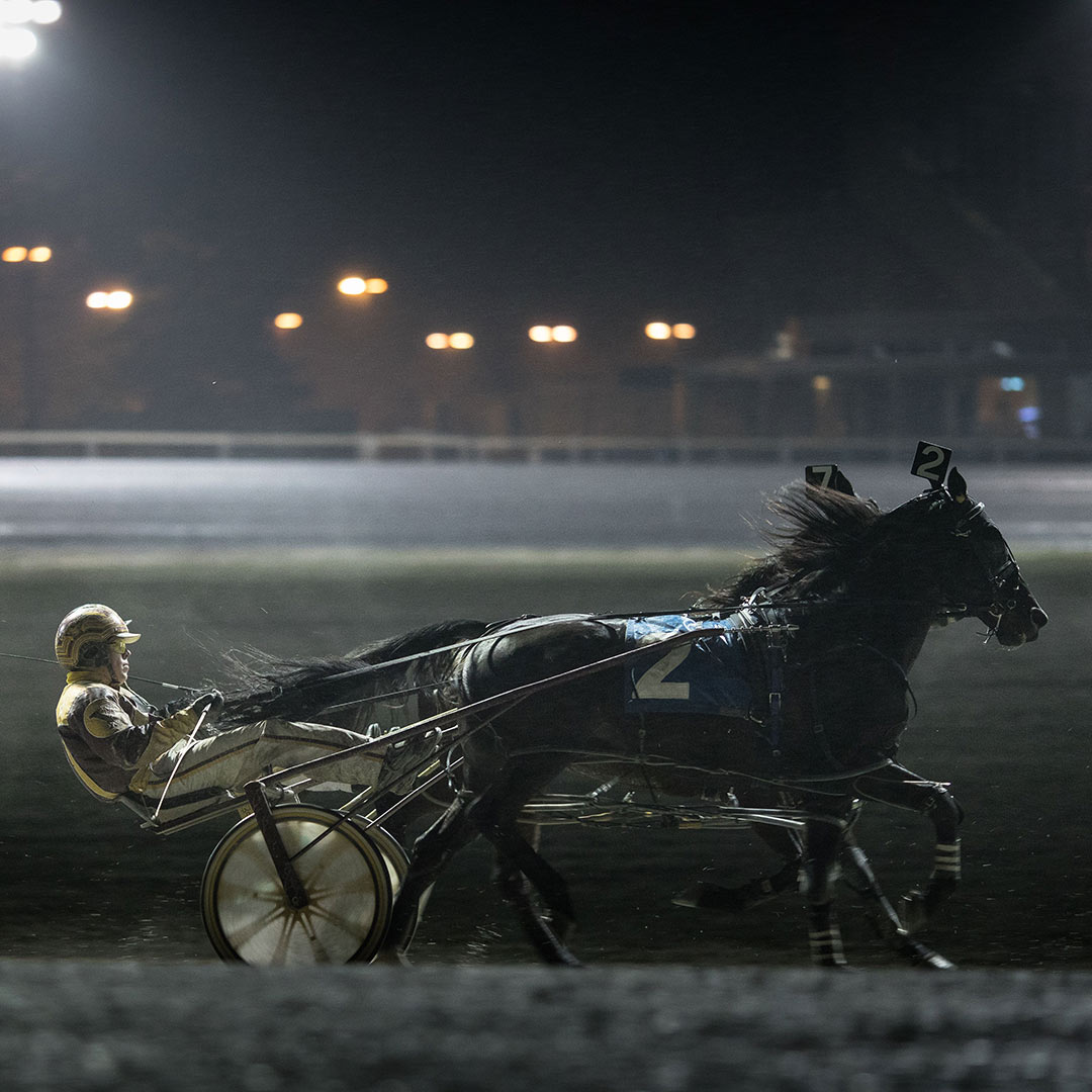 Horse racing on track with driver at Flamboro Downs