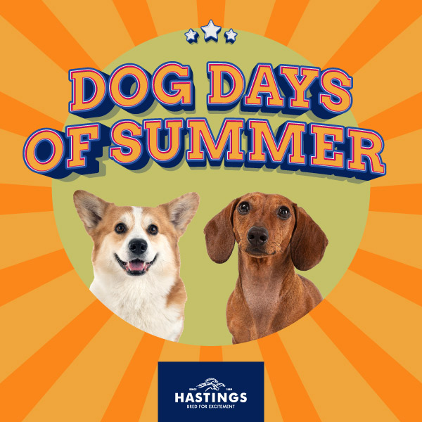 Dog Days of Summer at Hastings Racetrack and Casino