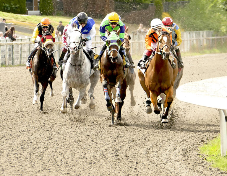 Horses racing and Flamboro.