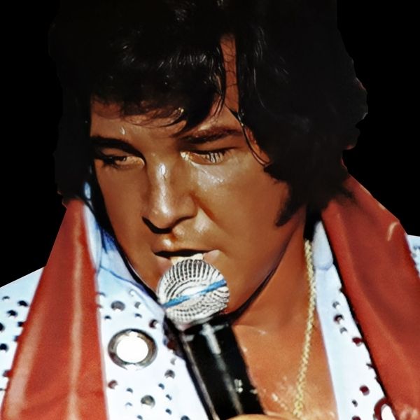 2nd Annual Elvis Birthday Experience Feed NB  Fundraiser